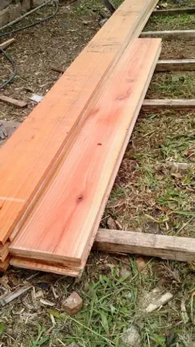 Tabuas de Eucalipto Bruto e Aplainadas 