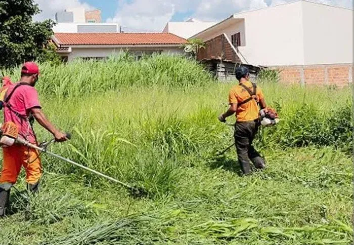 Limpeza de terrenos corte de grama