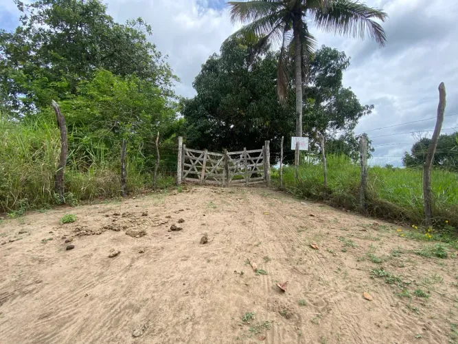 Localização privilegiada ,oportunidade venda 10 tarefas distrito de Magalhães