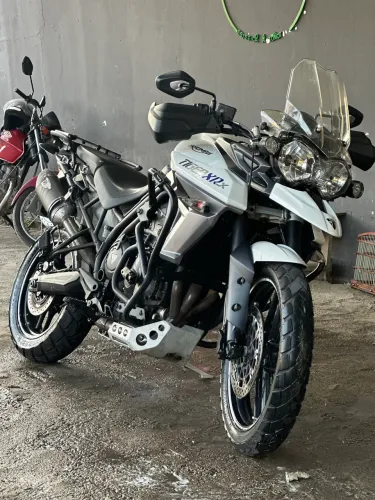 Tiger 800 