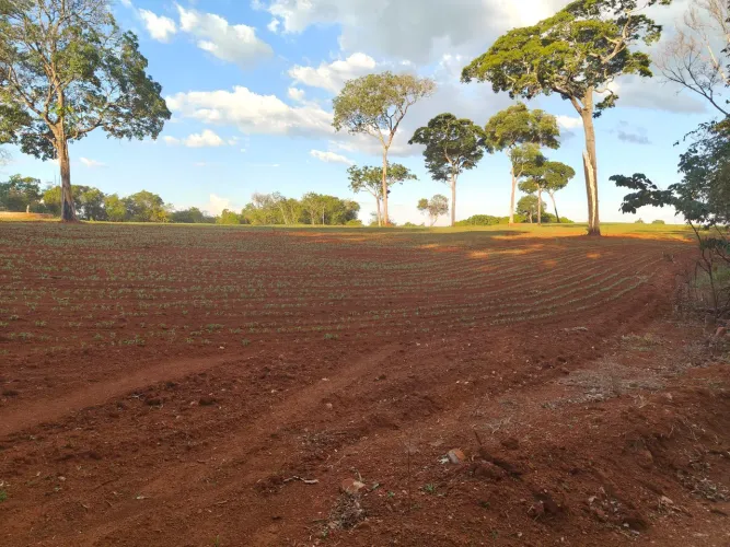 FAZENDA COM 790 HECTARES, ALTO POTENCIAL PRA CAFE!!