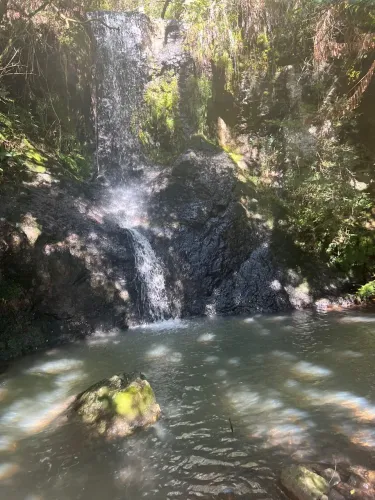 Sítio a venda em Urubici/chácara no Pericó