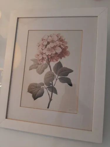 Tela flor decoração quadro organização pintura