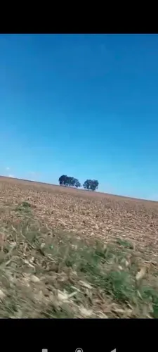 Fazenda de arrendamento 500 alqueires plantando no Mato Grosso Sul