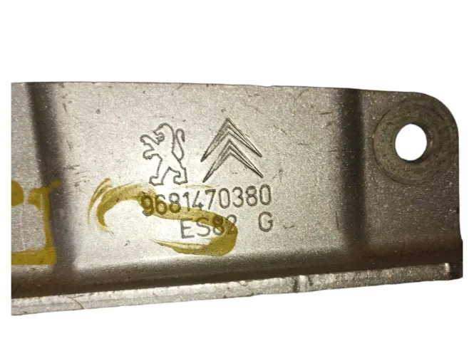 Dobradiça Capo Citroen C3 Picasso 2017 Esquerdo