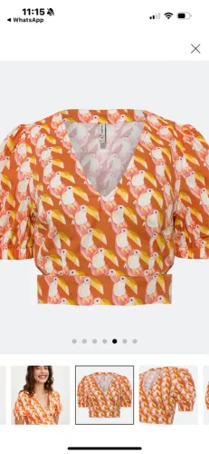 Blusas novas