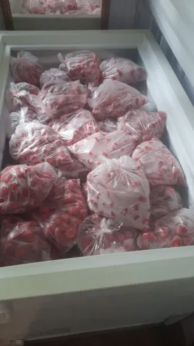 Morangos congelados 