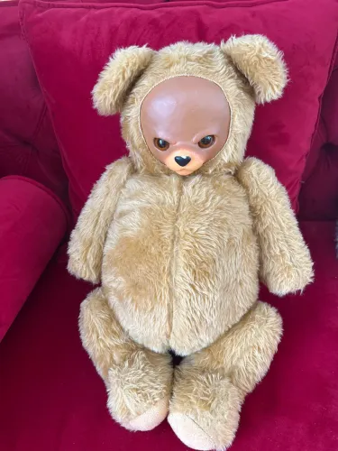 Urso amigos de lancheira