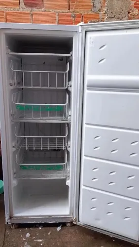Freezer vertical
