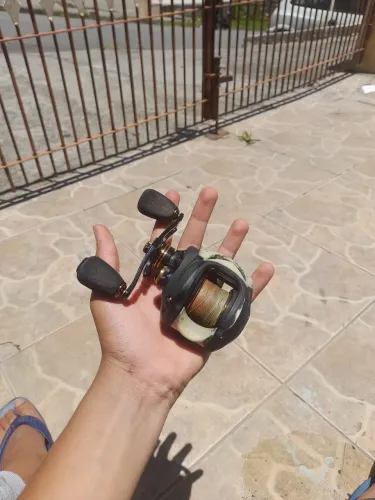 carretilha rapala amazonia 201z 