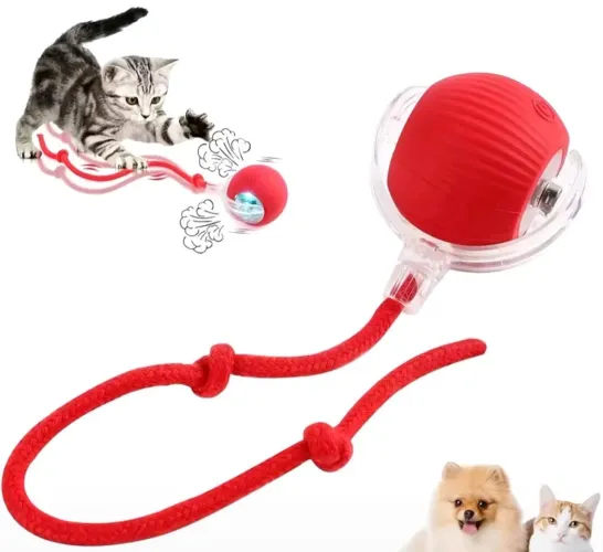 Brinquedo interativo para cão e Gato