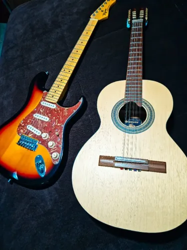 Guitarra (Tagima TG-530 Woodstock) + Viola Caipira (Giannini VS1 Cedro Acústica NS)