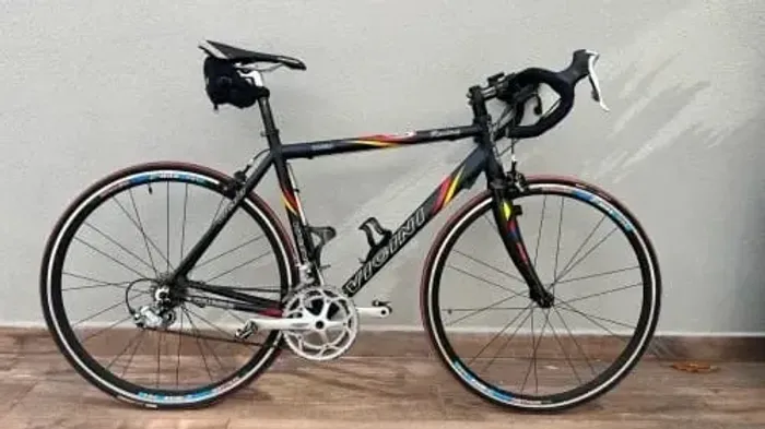 Bike speed Vicini Corsa