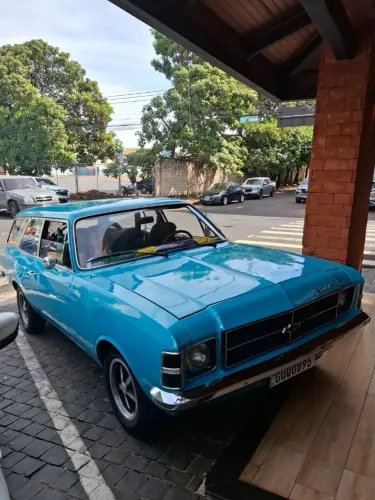 Chevrolet Caravan L/sl/s/ss 2.5/4.1/4.2 1979
