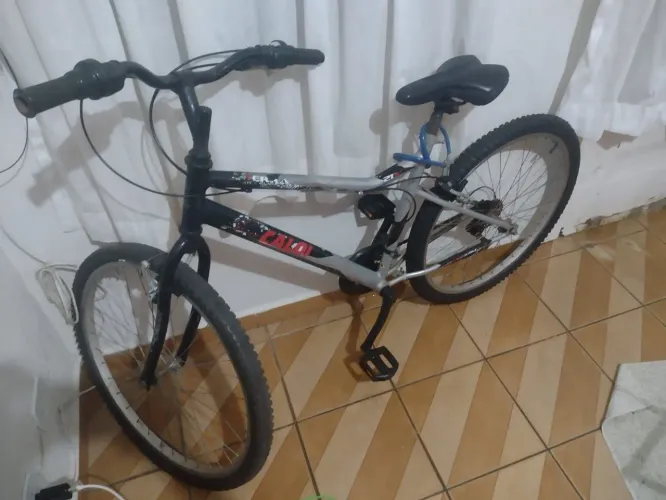 Bike Terra aro 29