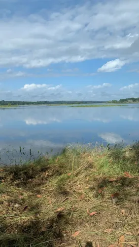 Terreno em porto grande