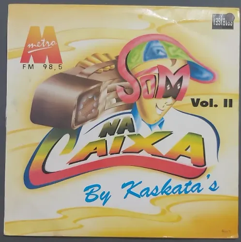 Disco de Vinil LP Som Na Caixa 2