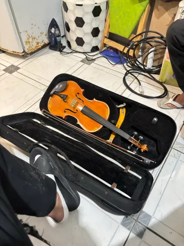 Violino