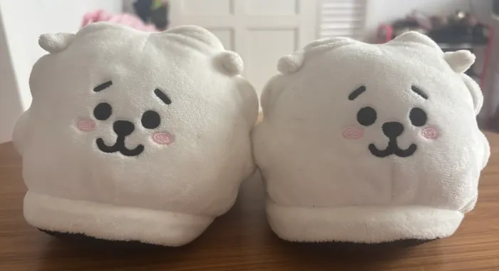 Pantufas BT21 RJ do BTS original (Poucas vezes usado)