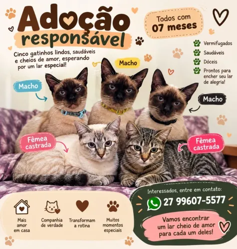 ADOÇÃO RESPONSÁVEL - PROCURA-SE UMA FAMÍLIA PARA AMAR