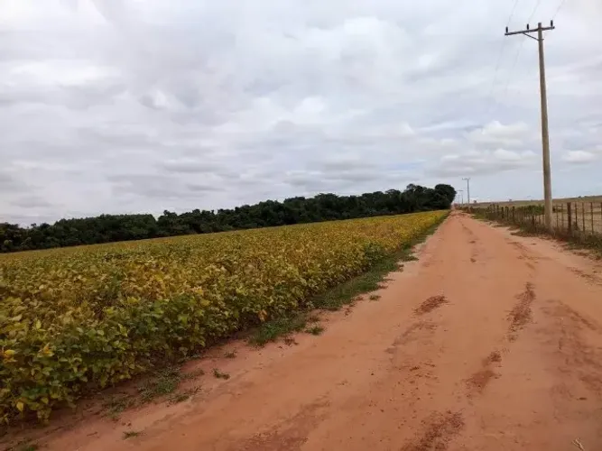 Três alqueires de terra a venda em campos novos paulista sp 