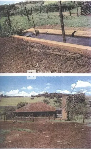 Venda Fazenda AREA RURAL DE UBERLANDIA