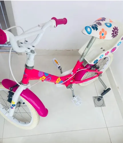 Bicicleta Infantil