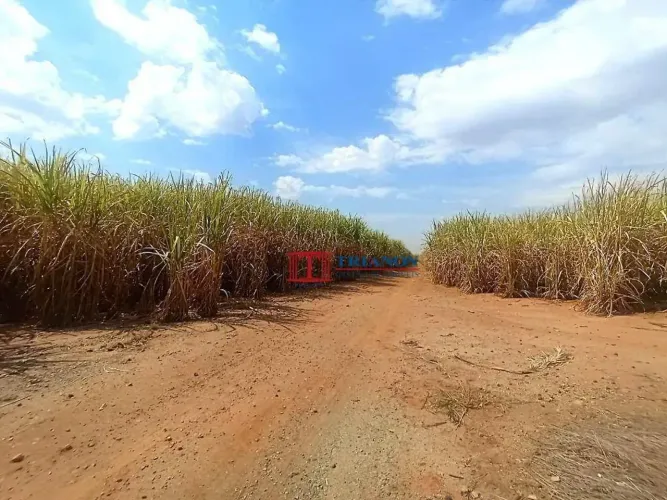 Grande propriedade rural em Charqueada: 895.400 m² R$ 8.400.000,00