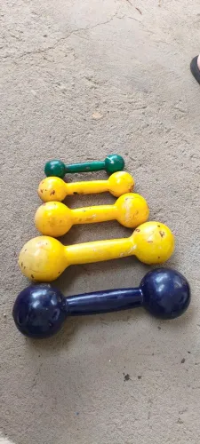 Altere ( pesos para musculação)