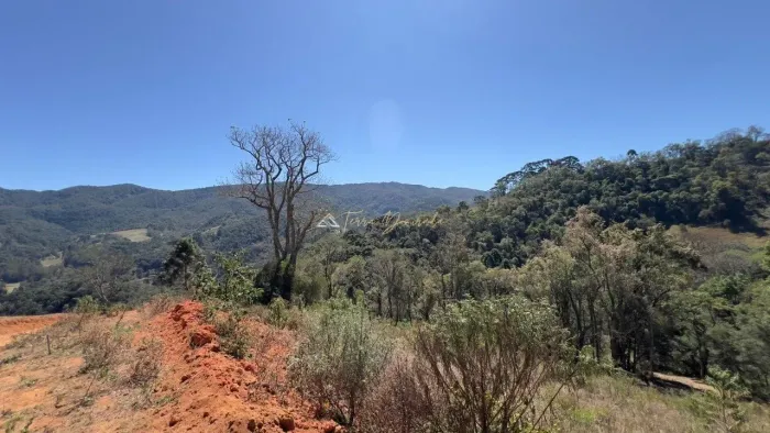 Área à Venda em Sapucaí Mirim - MG
