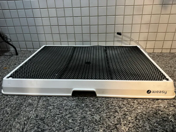 Weasy Cão - G