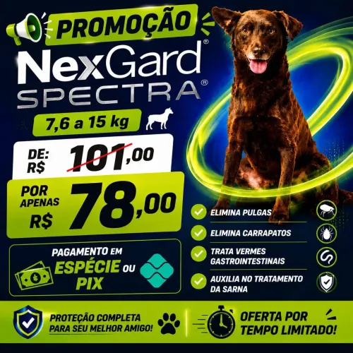 Nex Card 