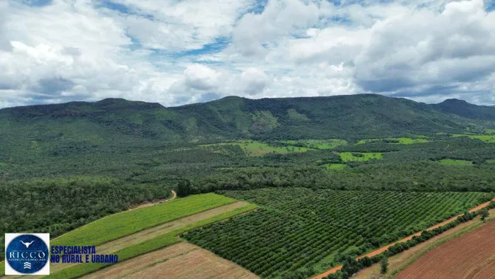 Fazenda à Venda em Pirenópolis  GO | 79 Alqueires | Dupla aptidão