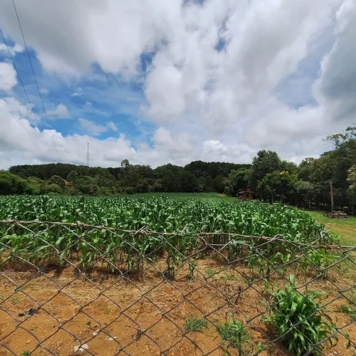 VENDO - Chácaras diversas em Poços de Caldas, Andradas e Região