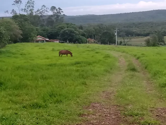 14 Alqueires região Angatuba SP com casa simples bão água luz, ótima localização, 10 km An