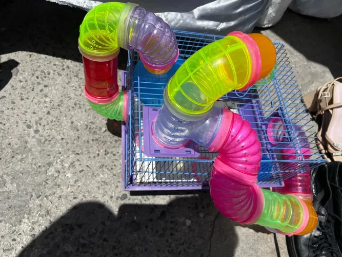 Casa de hamster