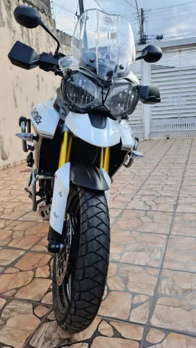 Tiger 800 