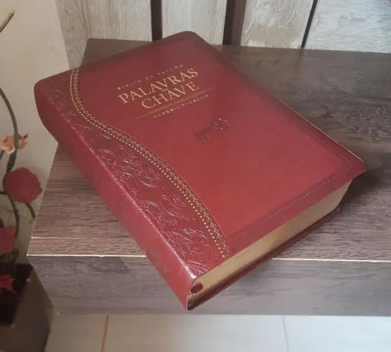 Bíblia de estudo palavra chave vinho