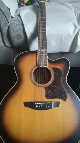 VIOLÃO STRINBERG SEMI NOVO