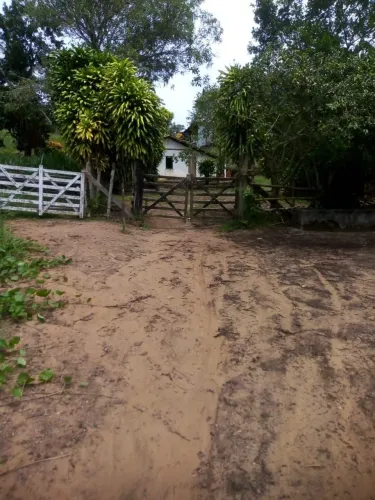 Fazenda / Araçás Bahia