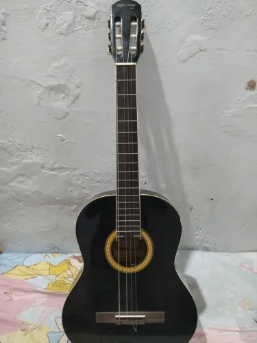 Violão profissional 