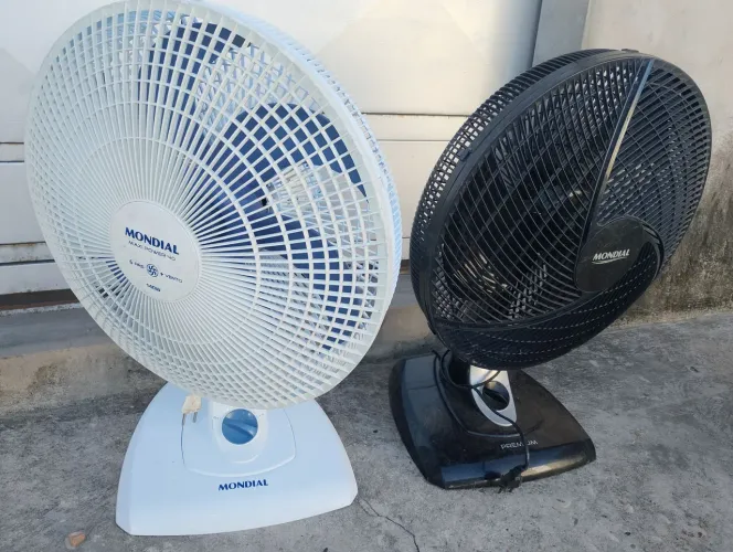 Vendo ,cada um 100$