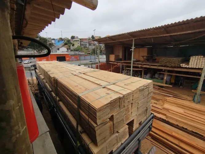 Tábua de pinus verde para obra