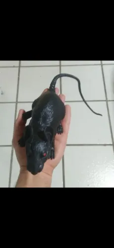 Rato de brinquedo de plastico