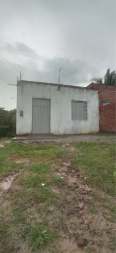 Cada no Timbuba