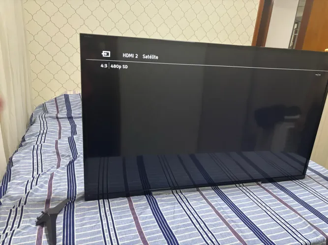Tv 50 polegadas  Sony