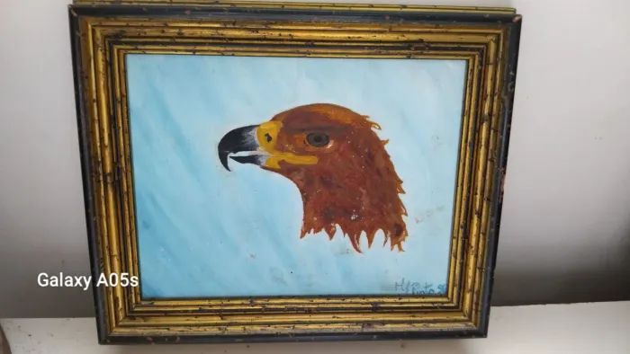 Quadro óleo sobre tela HF Pinto 1996. Ave de Rapina.