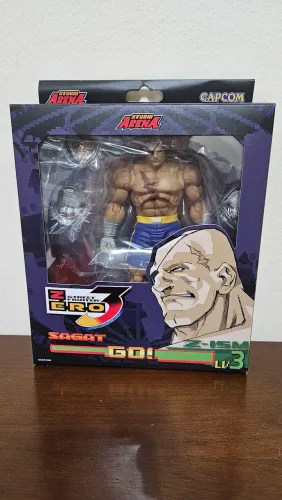 Storm Arena Sagat - Street Fighter Alpha