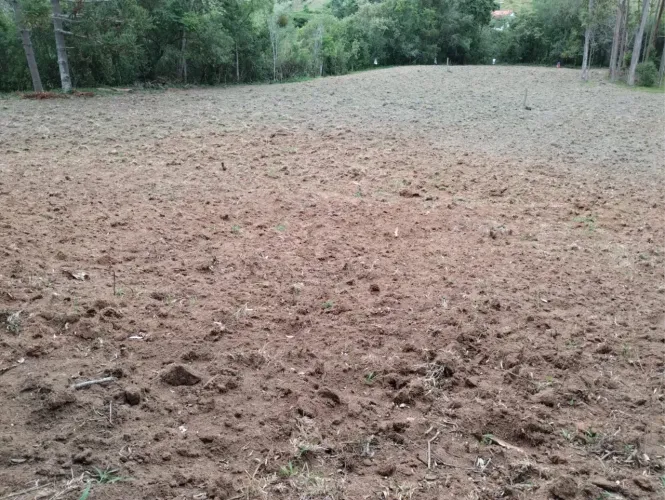 Vendo terreno em Cunha - SP, a 2 km do asfalto estrada Cunha- Paraty