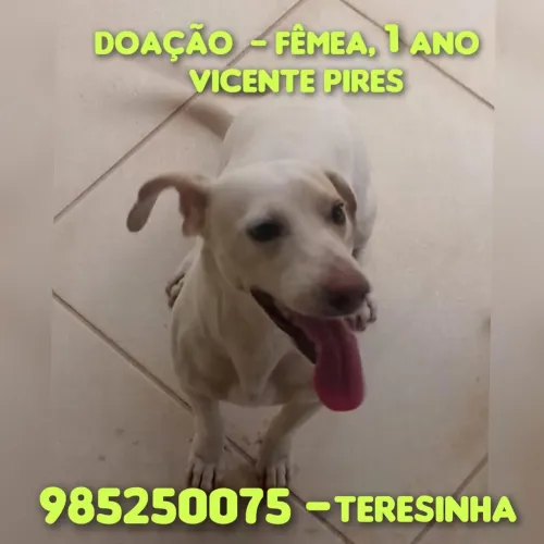 Doação porte pequeno 